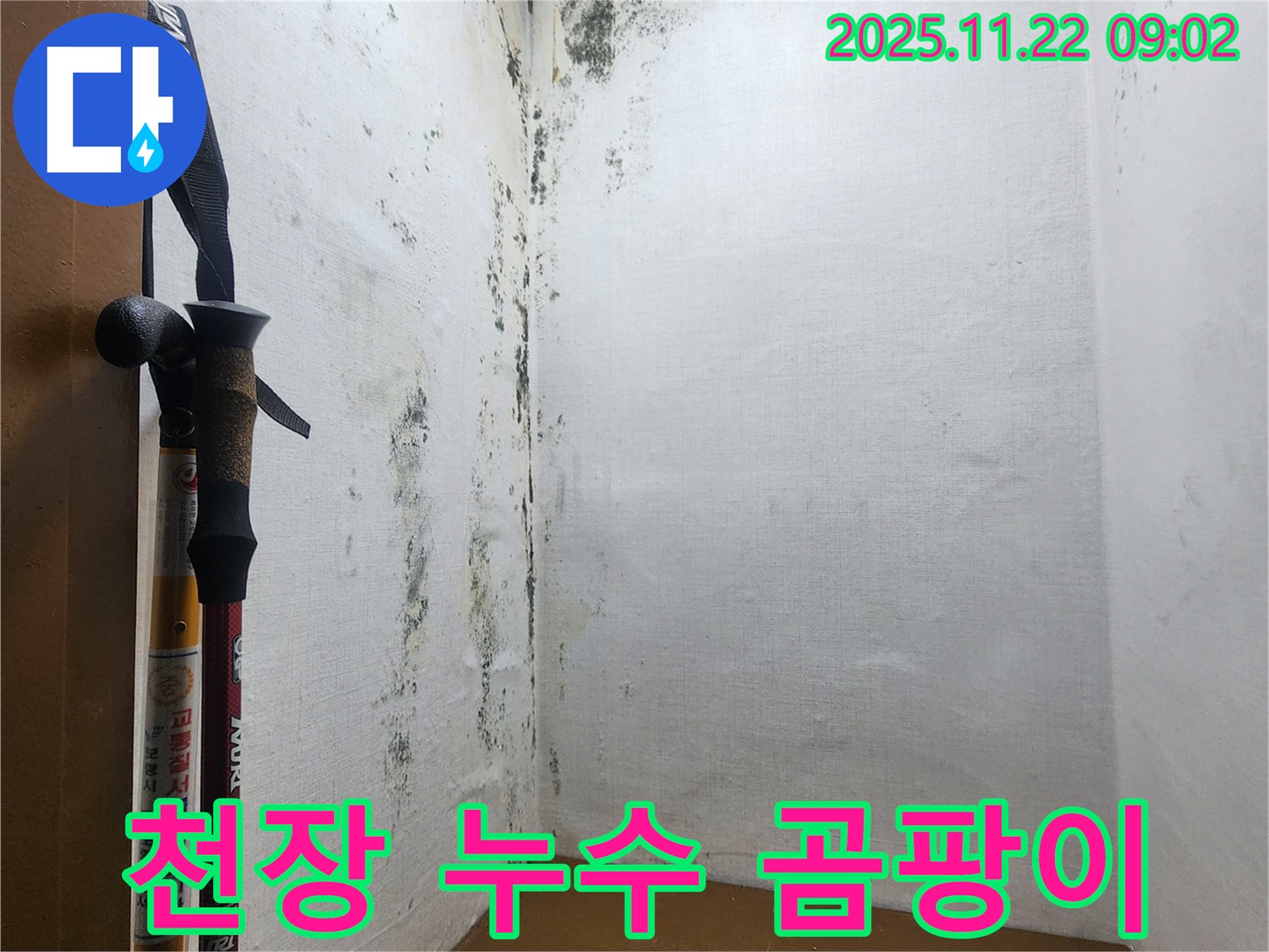 의정부 신곡동 누수 - 누수로 인한 곰팡이와 결로 문제 완벽 해결