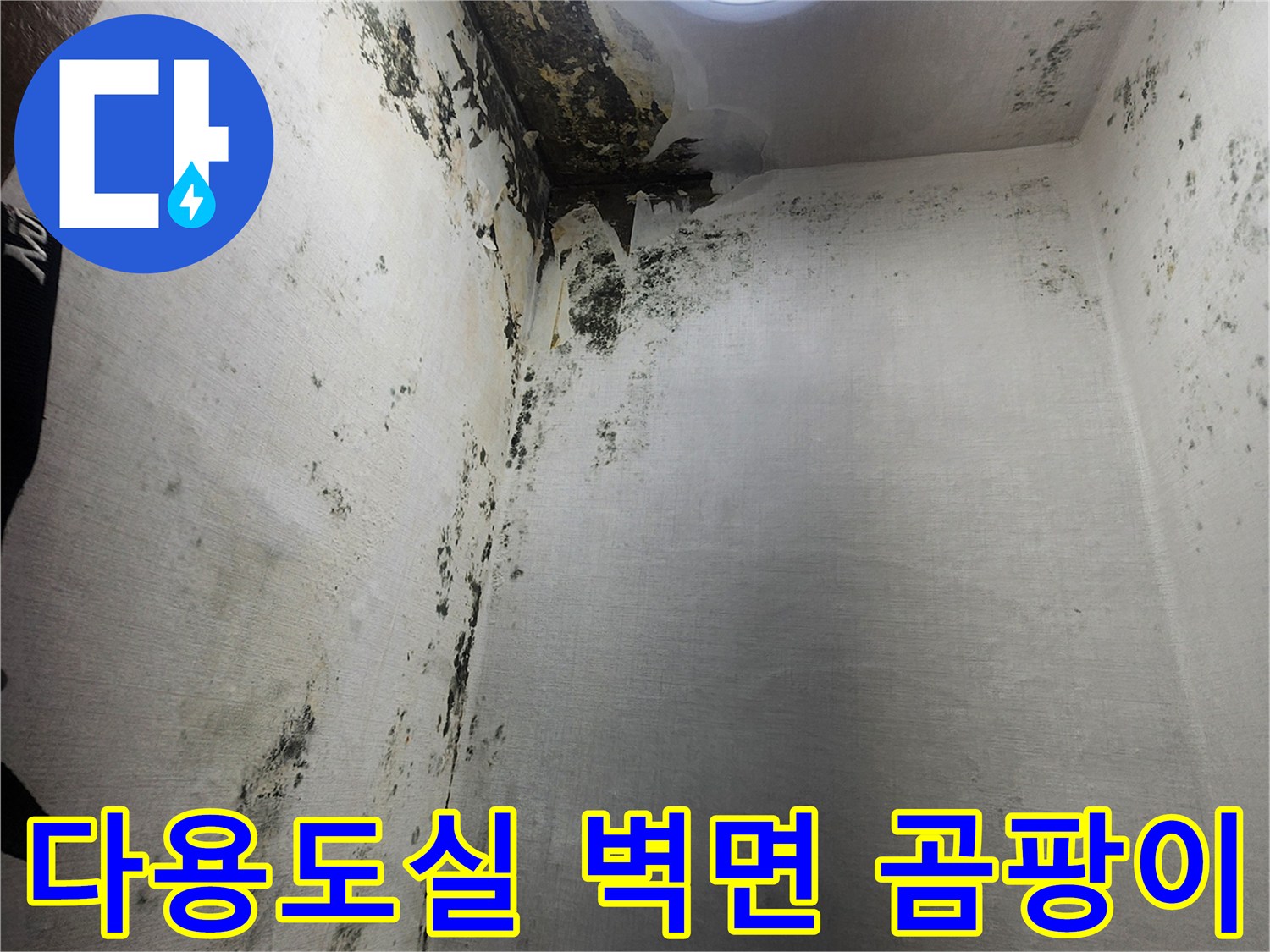 의정부 신곡동 현장-습기로 인해 부식된 다용도실 벽면