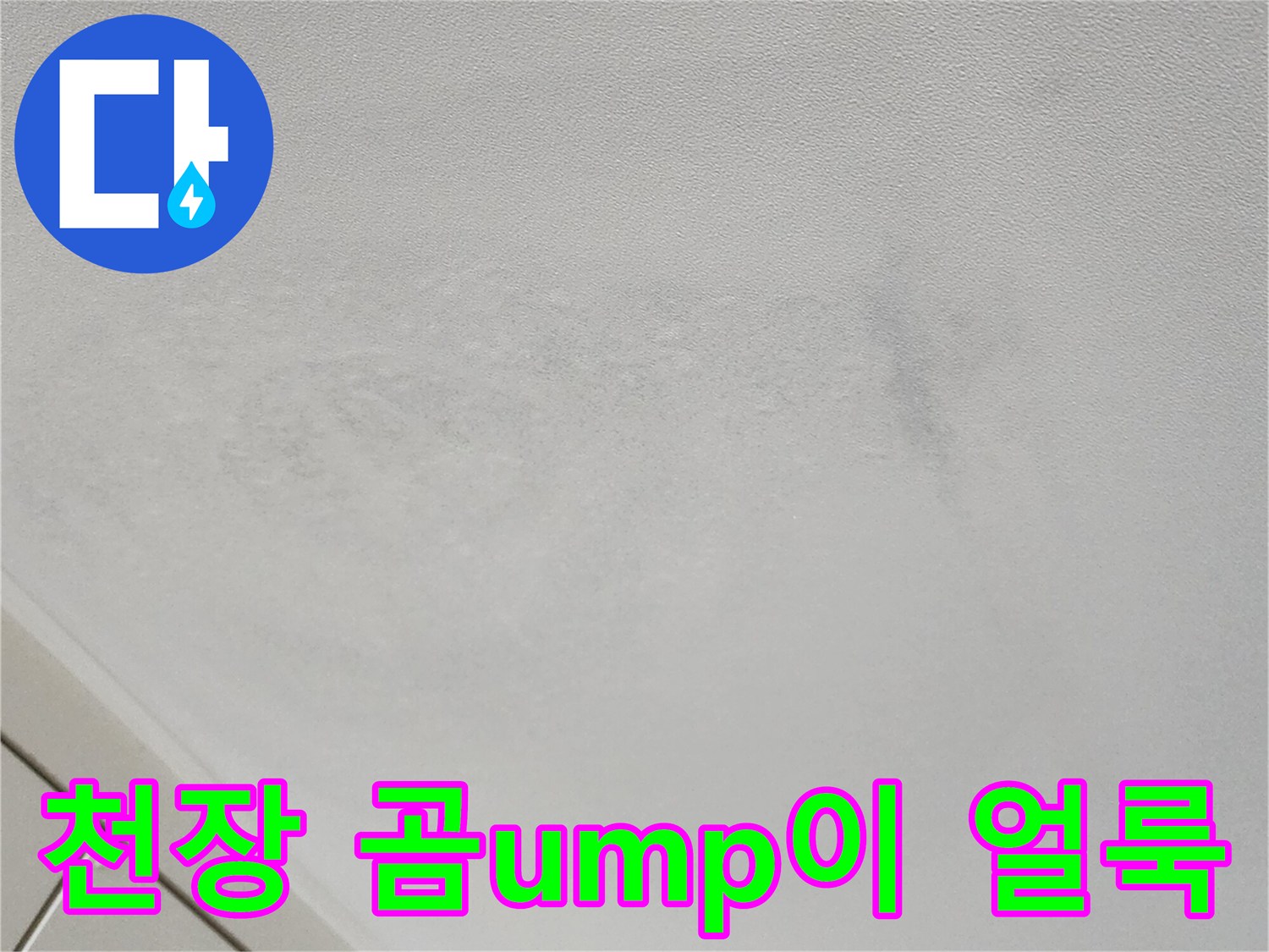 벽지-상단에-발생한-습기-및-곰팡이-흔적