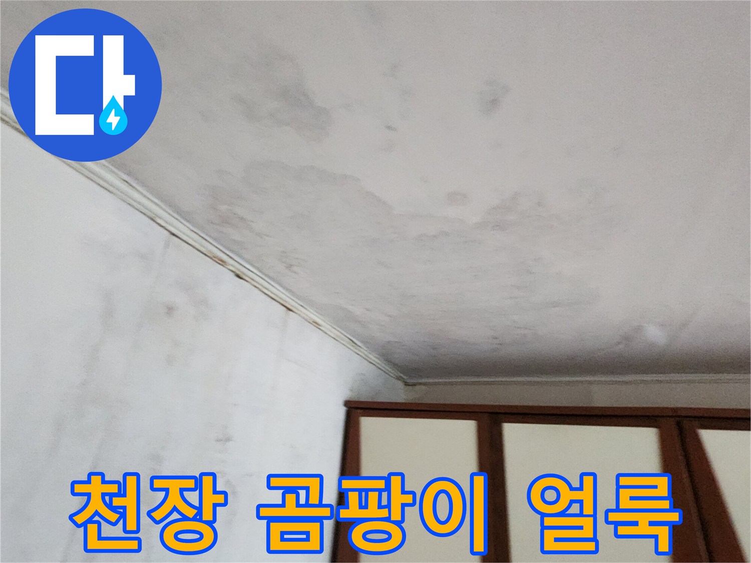 천장-벽지-변색-및-곰팡이-발생-상태