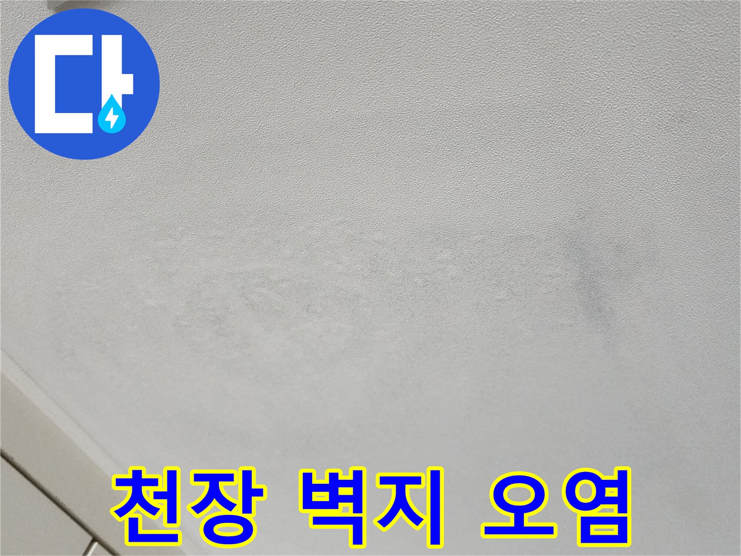 축축하게 젖어 변색된 천장 벽지 모습