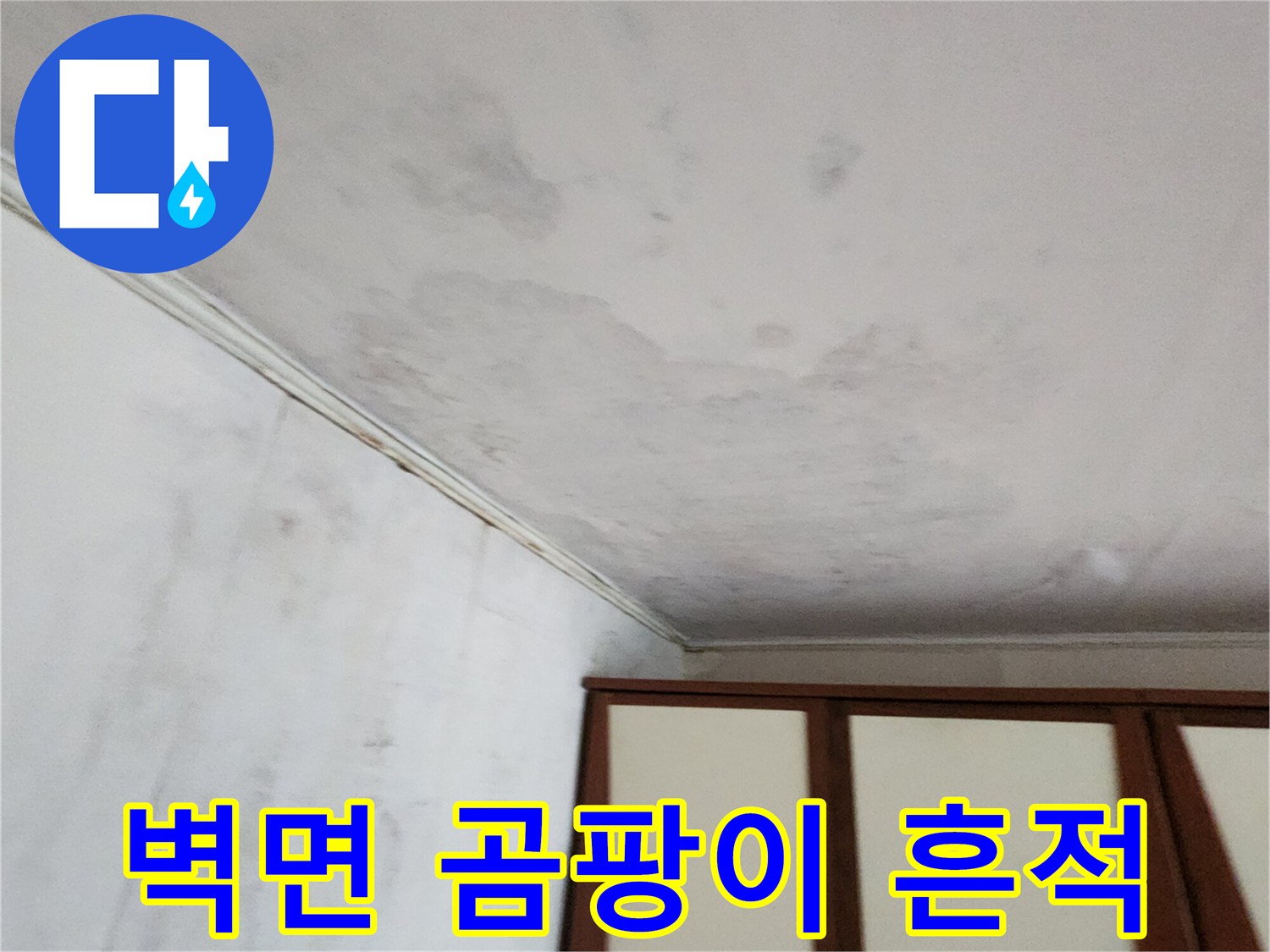 포천 가산면 현장-천장 및 상단 벽면의 광범위한 오염 상태