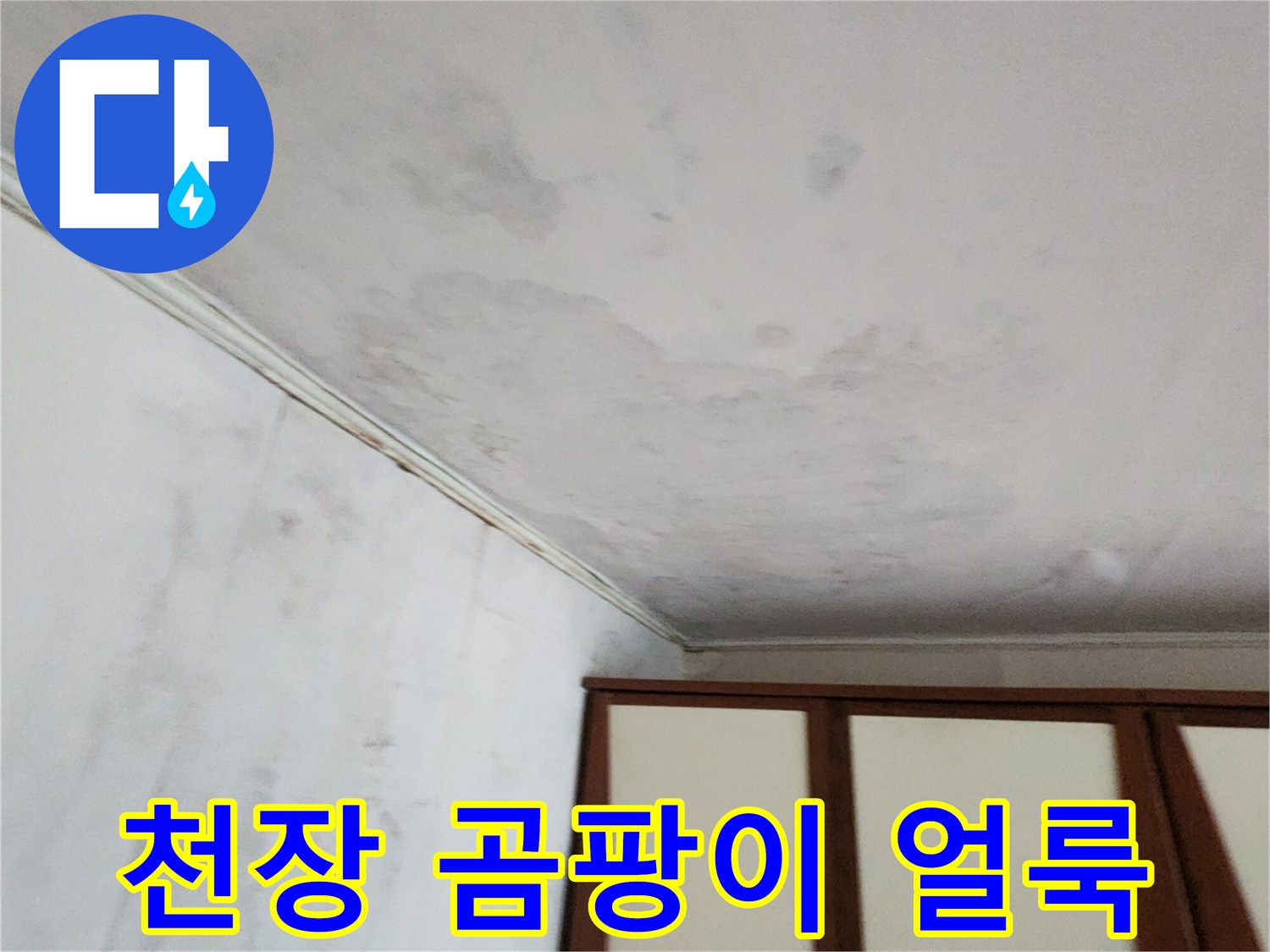 포천 가산면 현장-천장 벽지 변색 및 곰팡이 발생 상태