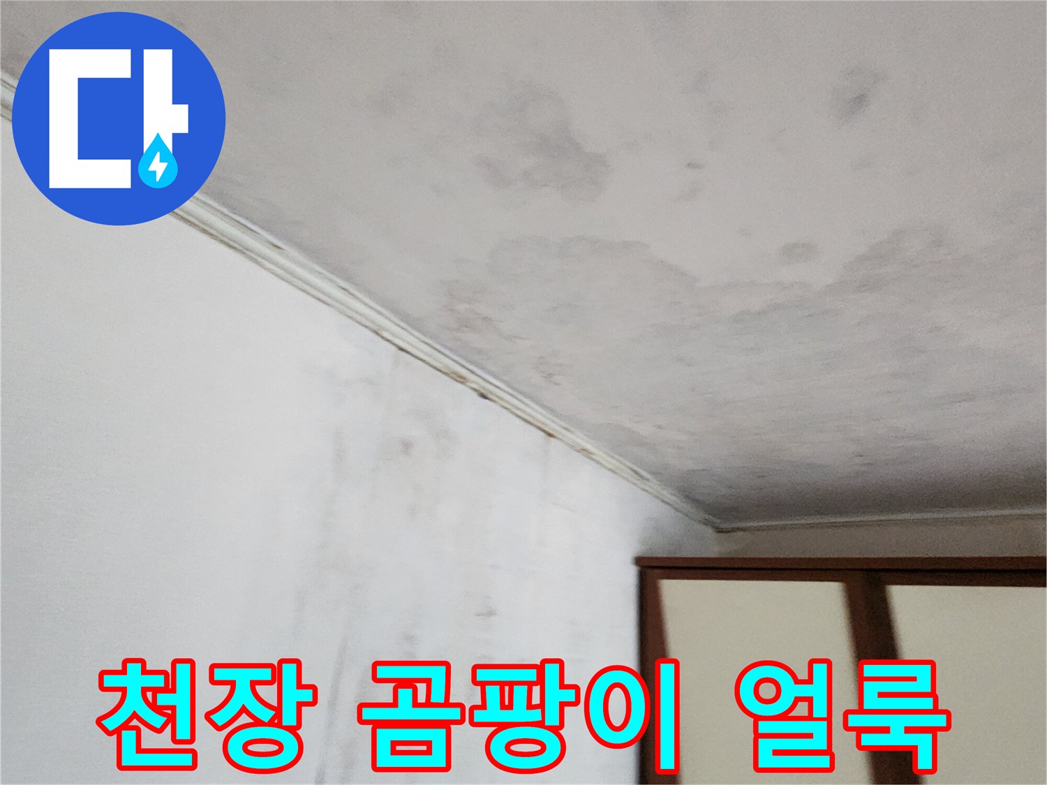 포천 가산면 현장의-천장 벽지 곰팡이와 습기 흔적