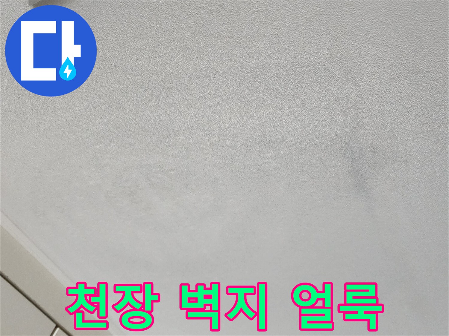 포천 가산면 현장의 천장 벽지 변색 및 곰양 흔적