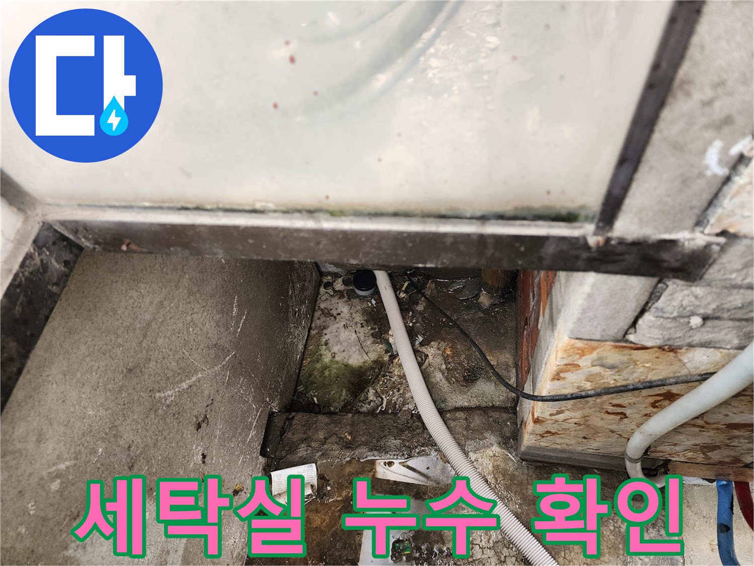 세탁실 하수구 주변 누수 확인 - 꼼꼼한 누수 진단으로 문제 해결