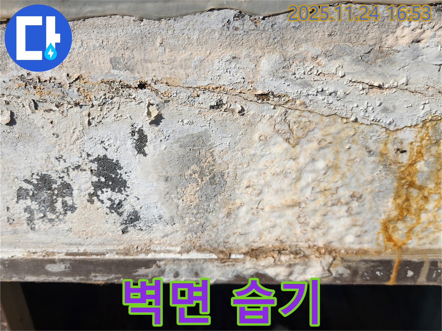 건물 외벽의 습기 - 벽면에 습기가 차서 축축한 모습입니다. - 습한 환경은 곰팡이와 세균 번식에 좋은 환경을 제공합니다.