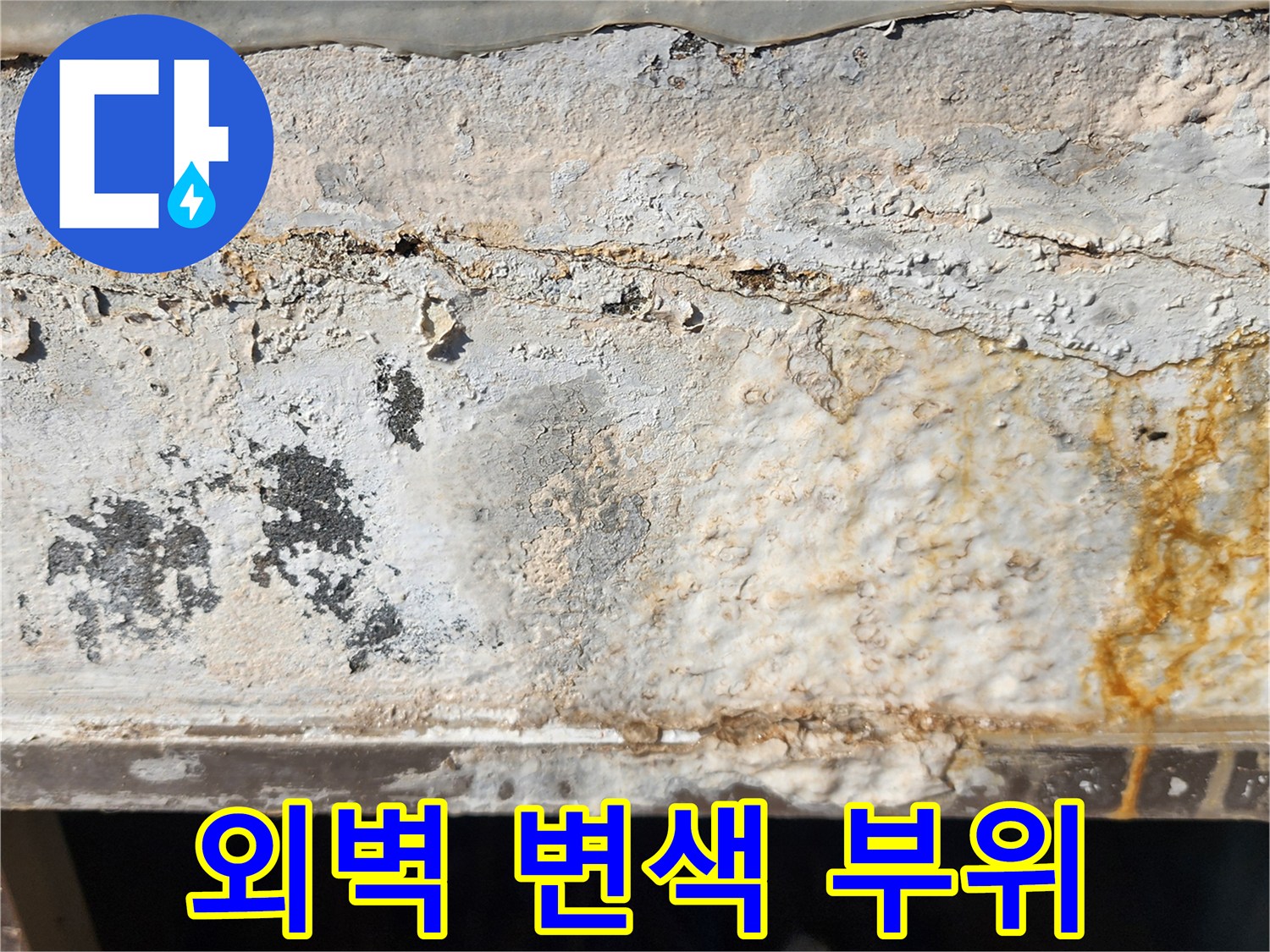 외벽 하단-습기와 황색 얼룩 발생