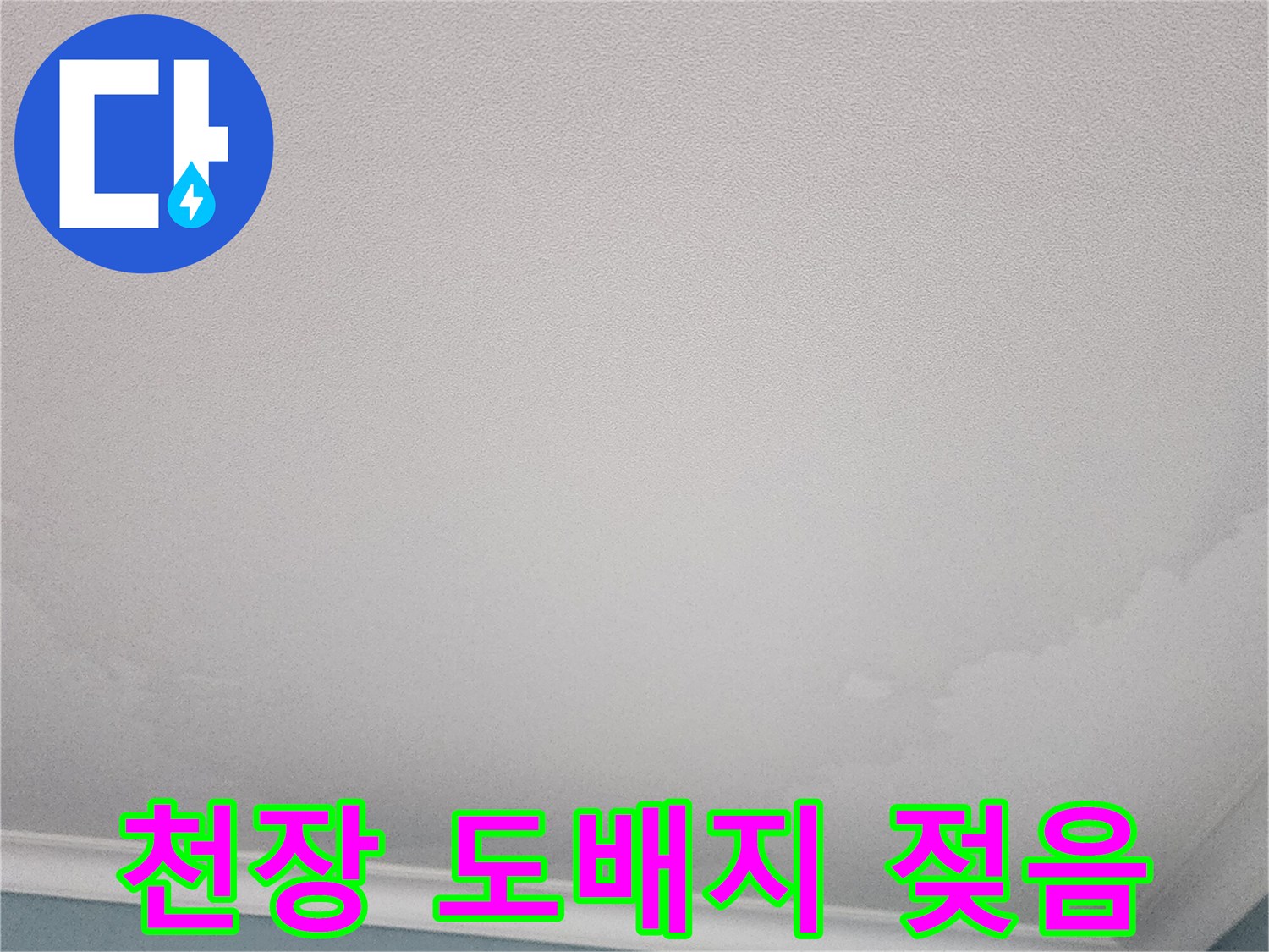 천장-가장자리를-따라-번진-누수-얼룩