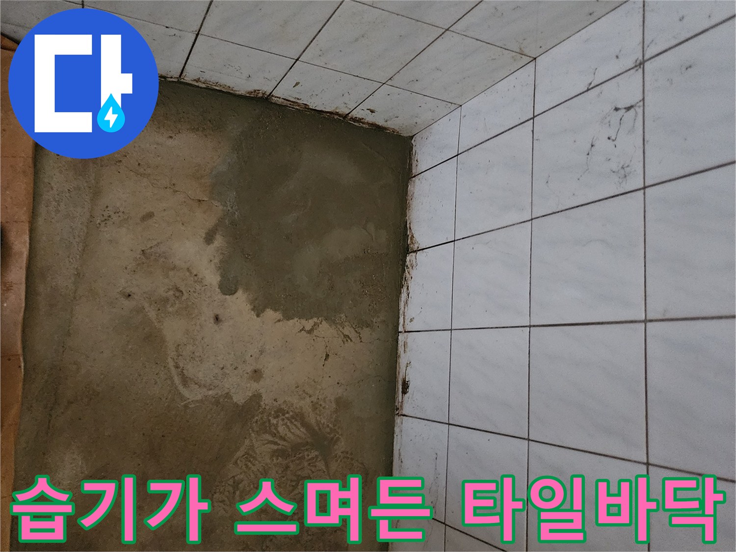 화장실 벽면과 바닥 접합부의 누수 징후 현장 사진