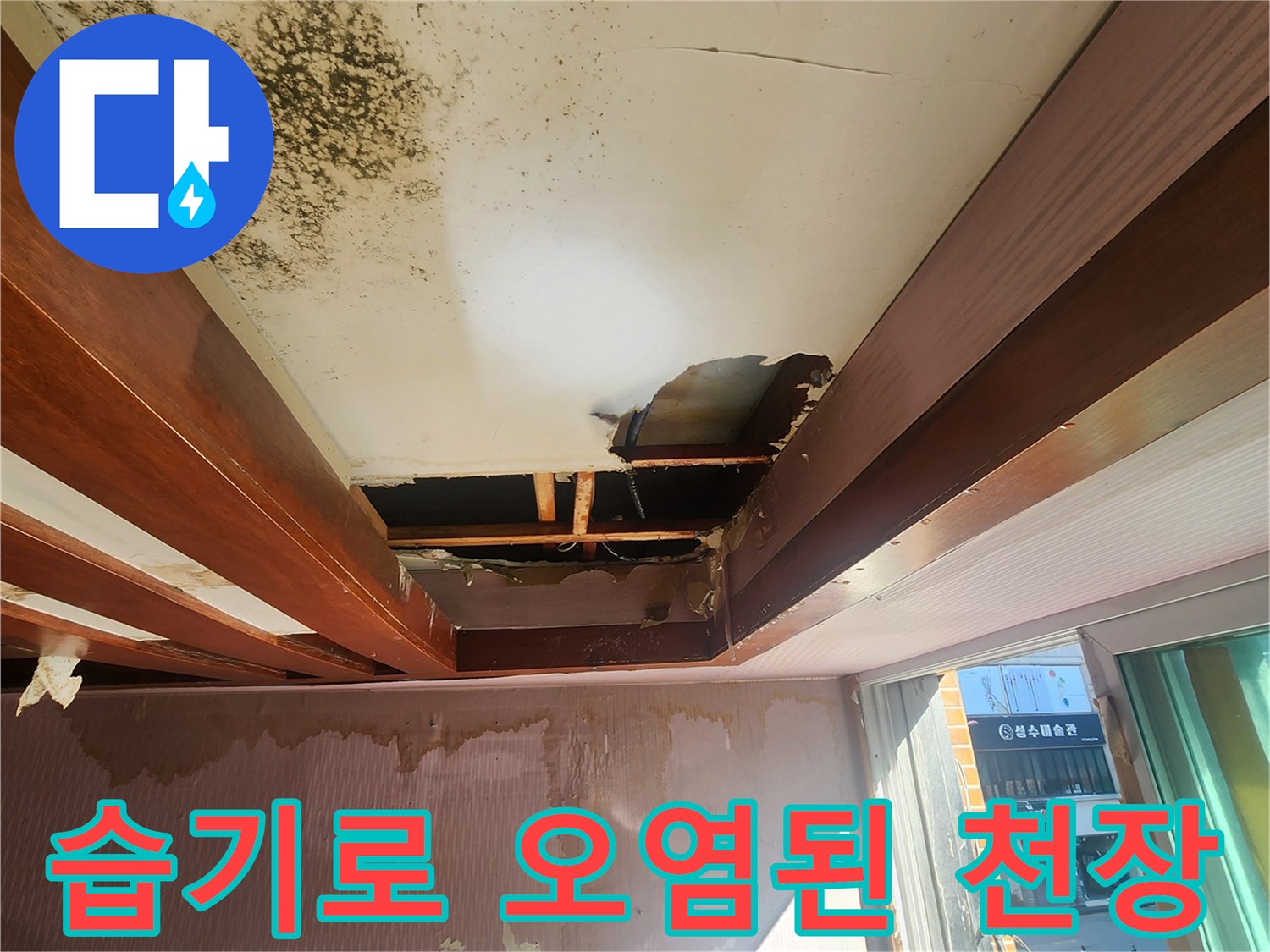 곰팡이와 얼룩으로 심하게 오염된 실내 천장 부위