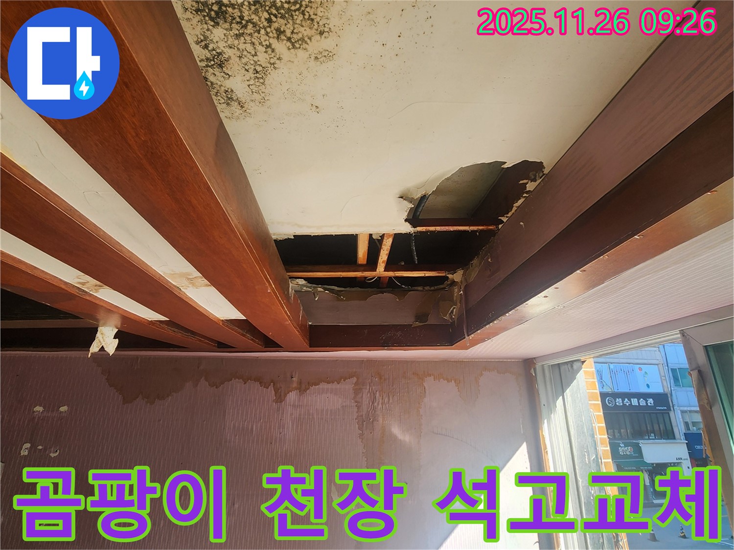 신북면 계류리 누수 현장 - 곰팡이로 뒤덮인 천장과 석고보드 교체가 시급한 상황을 보여줍니다.