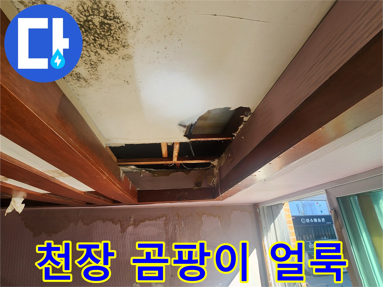 천장 마감재 부위의 광범성한 곰팡이와 습기 흔적
