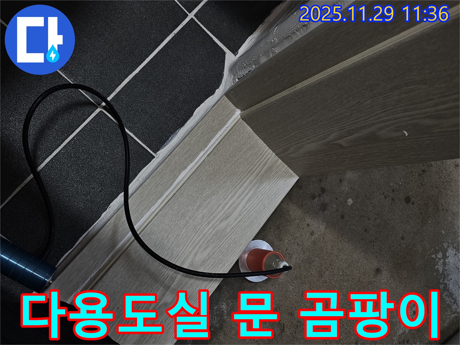 다용도실 문 주변 곰팡이 - 누수 의심 및 전문가 진단
