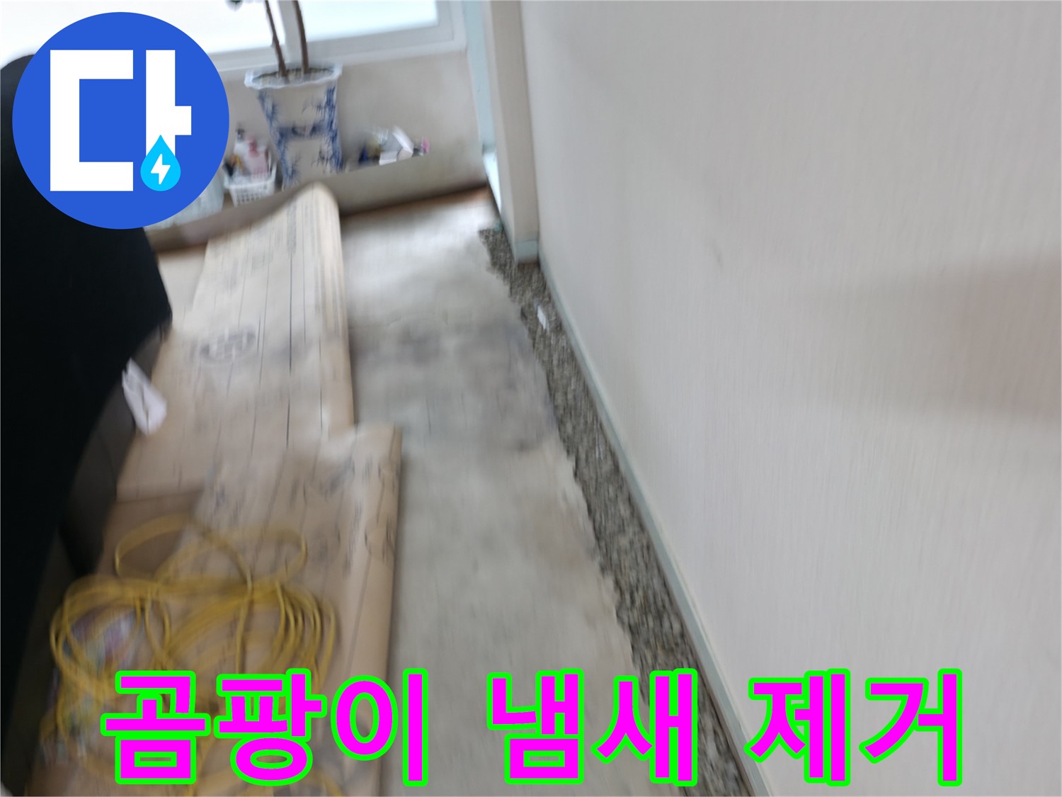 서초동 명달로4길 주택 누수 - 습기 가득한 바닥 완벽 해결 - 더 이상 습기 걱정은 끝!