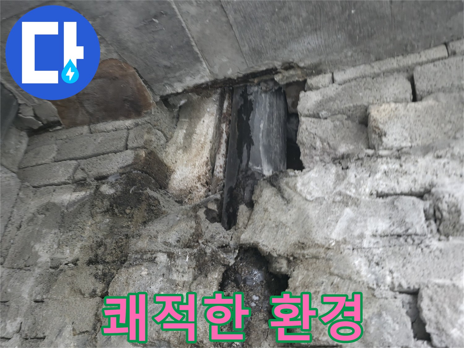벽면 누수 - 곰팡이 서식 최적 환경