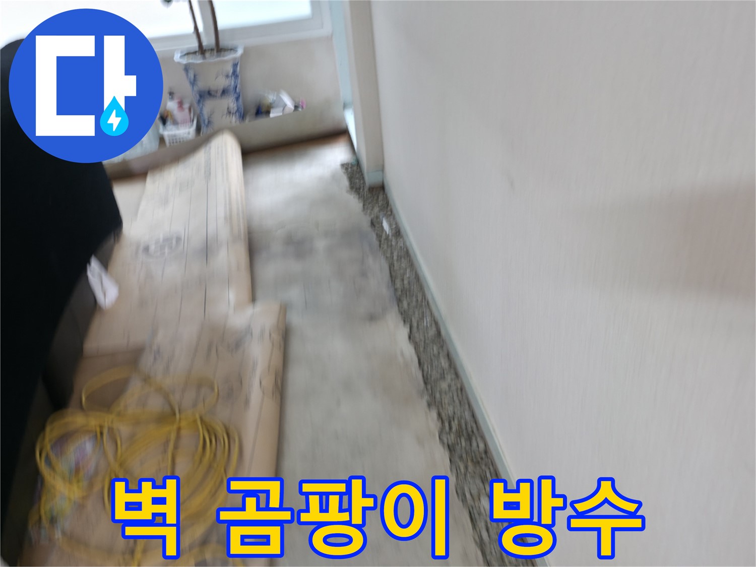 서초동 명달로4길 바닥과 벽 사이 곰팡이 제거 - 누수 해결로 쾌적하게!