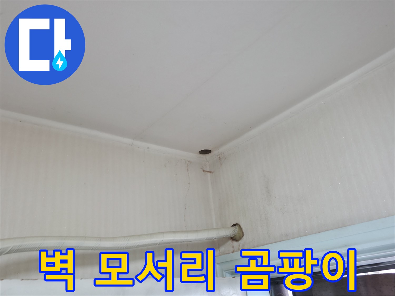 서초2동 341-1 벽 곰팡이 - 겨울철 습기 주의!