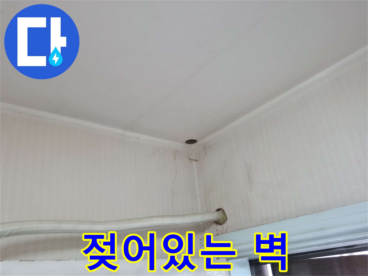 서초2동 341-1 젖은 벽 - 수도관 파열 긴급 점검!