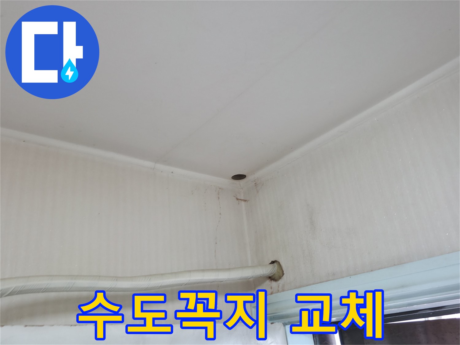 서초구 방배동 누수 - 배관 주변에 곰팡이가 있다면, 건강을 위협하는 심각한 문제일 수 있어요.