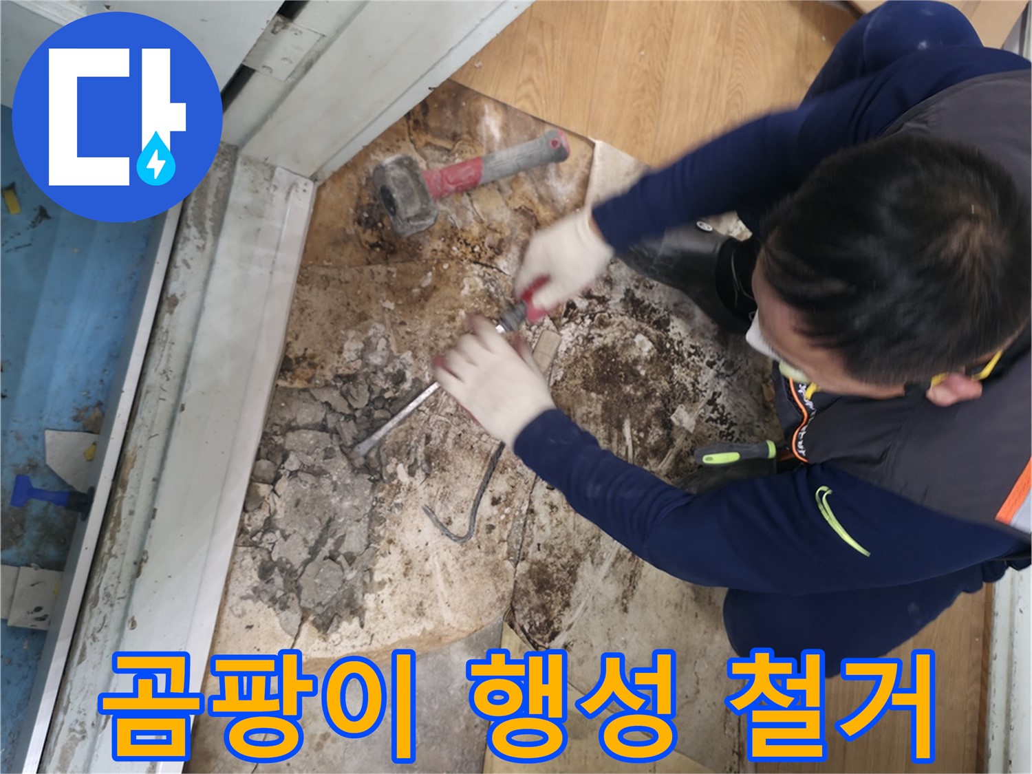 서초구 서초동 - 칼과 망치를 사용하여 곰팡이를 완전 격파하고 건강한 우리 집을 완성해 드리는 모습입니다 - 곰팡이 완전 격파! 건강한 우리 집!