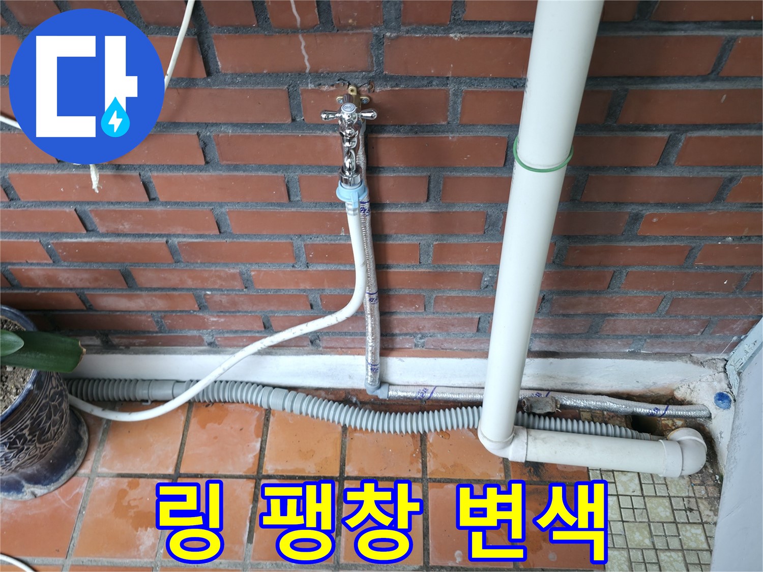 서초구 명달로4길 50 - 급수 호스 고무 링 팽창 및 변색 - 링 교체
