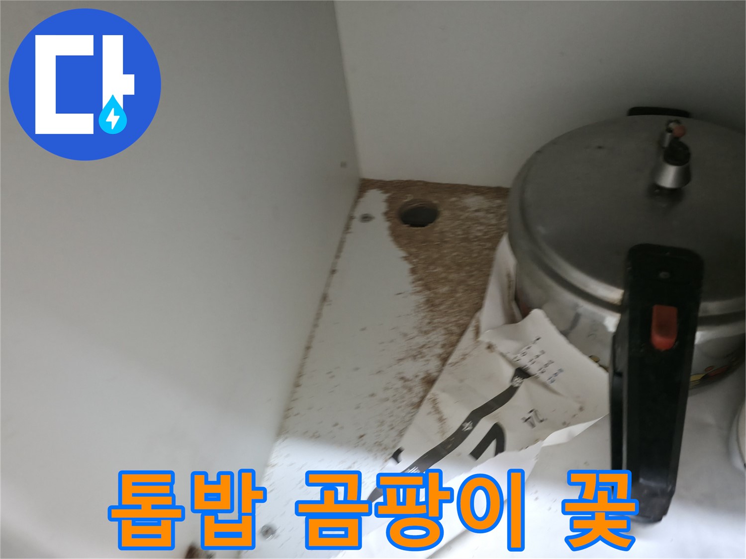 서초구 명달로4길 싱크대 누수 - 톱밥, 곰팡이 꽃 완벽 제거 & 재발 방지