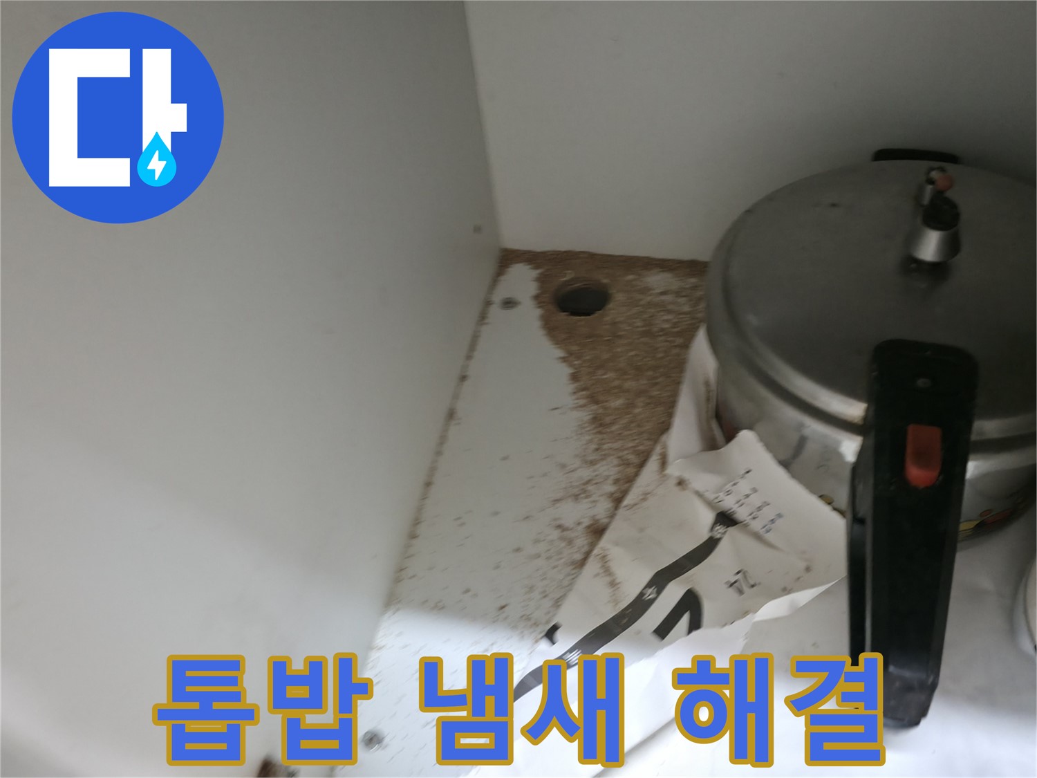 싱크대 하부 - 톱밥 - 곰팡이 냄새 - 건강 위협