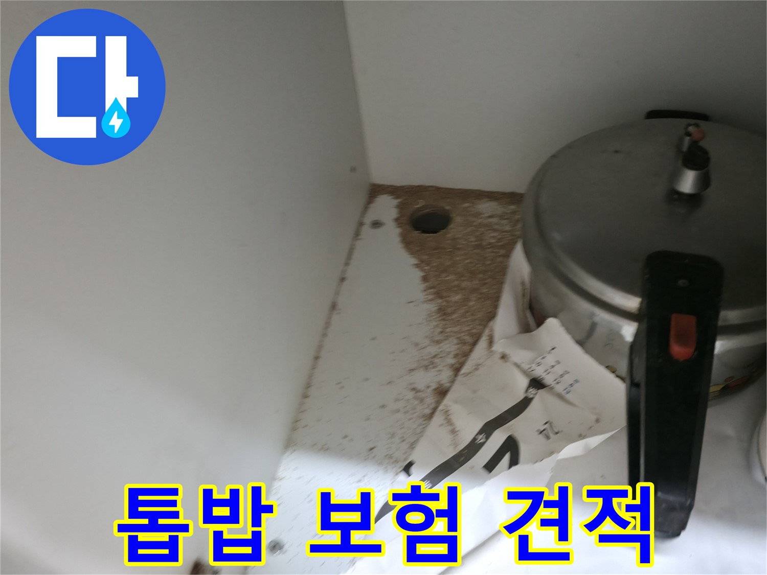 싱크대 하부 - 톱밥 발견 - 긴급 누수 점검 필요