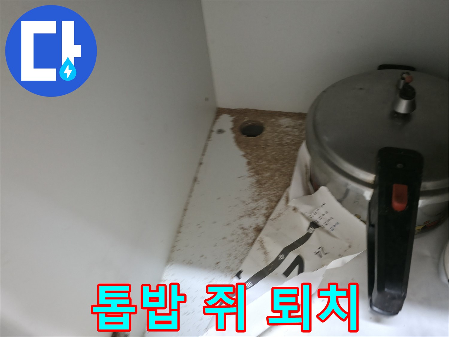 서초구 명달로4길 싱크대 누수 - 톱밥, 쥐똥 발견 완벽 퇴치