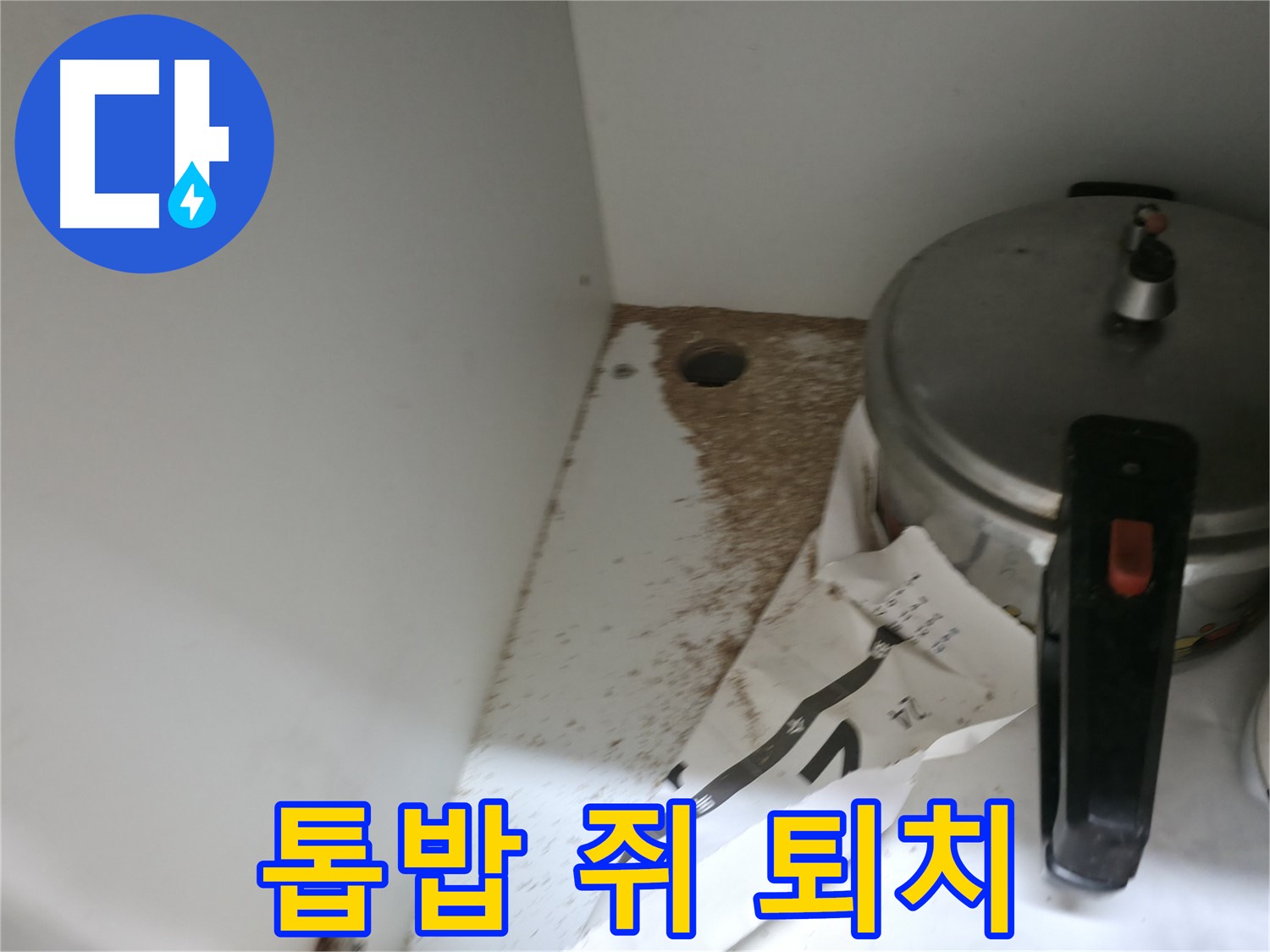 서초구 명달로4길 싱크대 누수 - 톱밥, 쥐똥 발견 완벽 퇴치 및 위생 관리