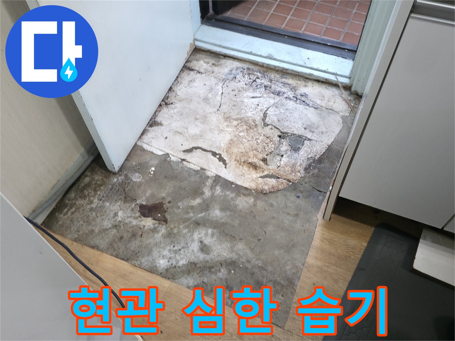 서초구 서초2동 누수 현장 - 습기로 가득한 현관 앞 바닥 - 누수 긴급 진단 필요