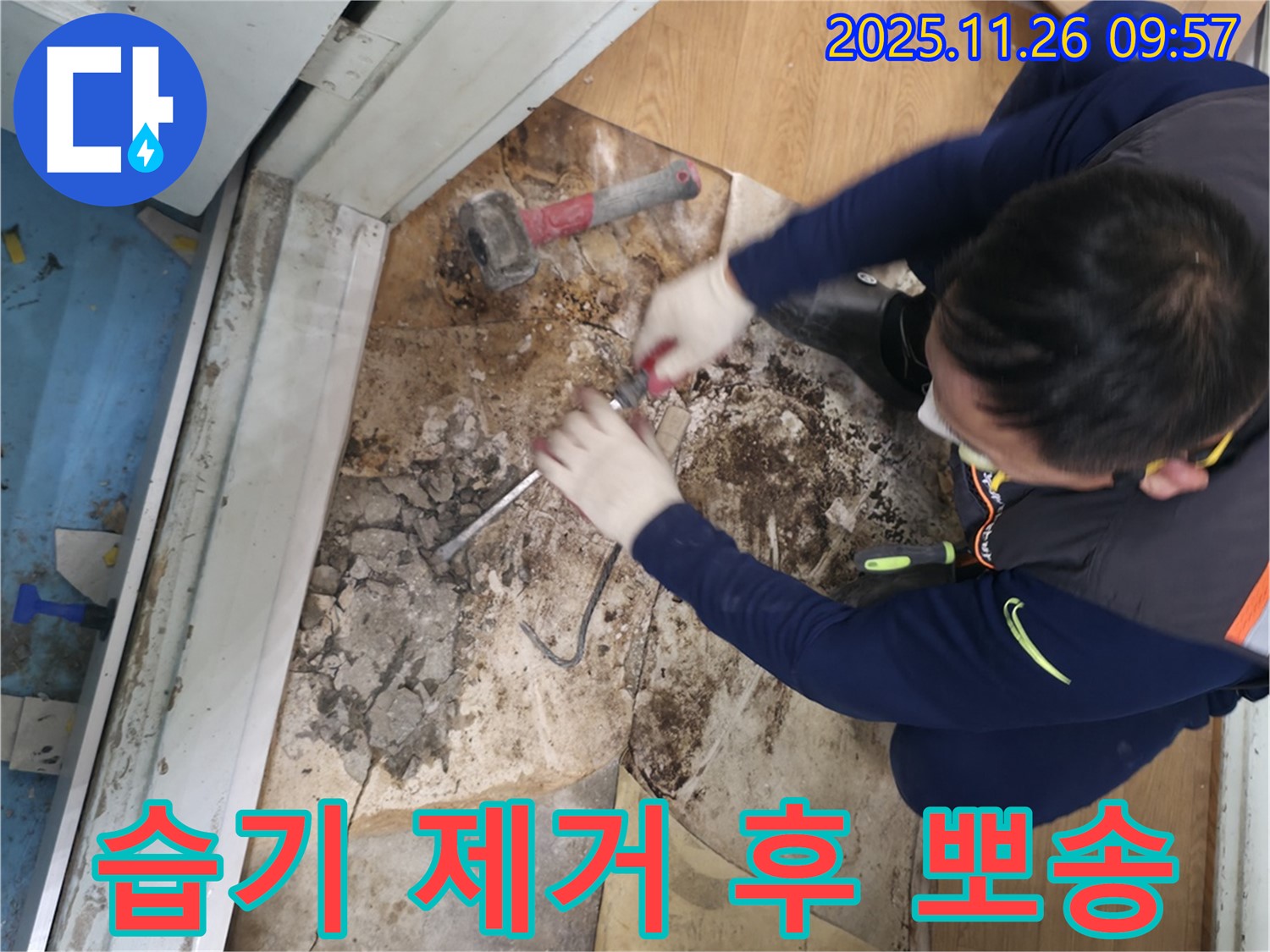 서초구 서초2동 명달로50 - 습기를 완벽하게 제거하고 뽀송뽀송해진 공간에서 상쾌한 아침을 맞이하는 모습입니다 - 습기 탈출 성공! 뽀송한 아침을 맞이하세요!