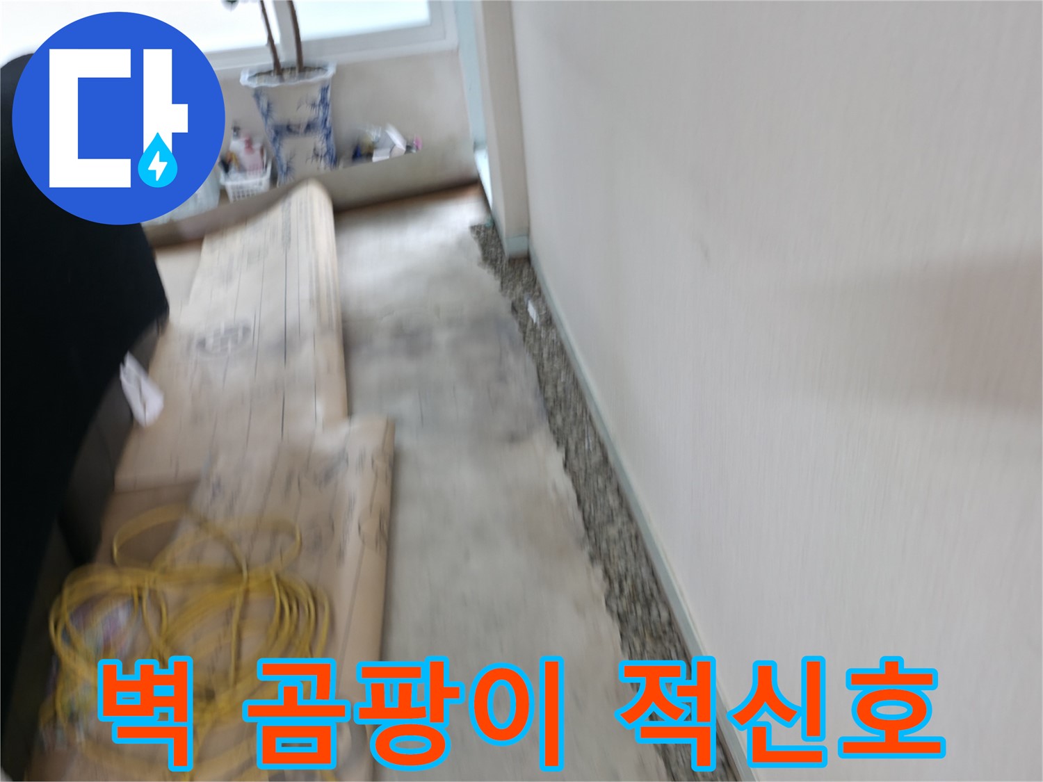 서초구 서초동 누수 - 벽면에 곰팡이가 심하게 핀 현장 이미지입니다.