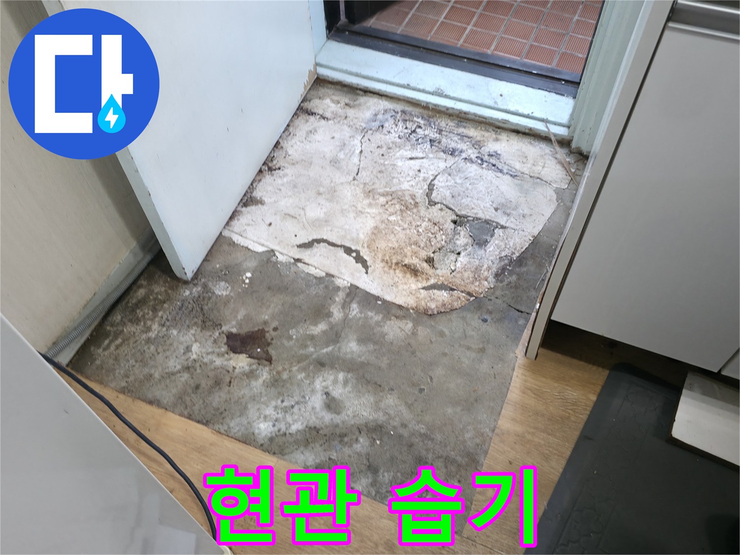 서초구 서초동 누수 현장 - 습기가 느껴지는 현관 바닥 - 누수 초기 증상일 수 있음