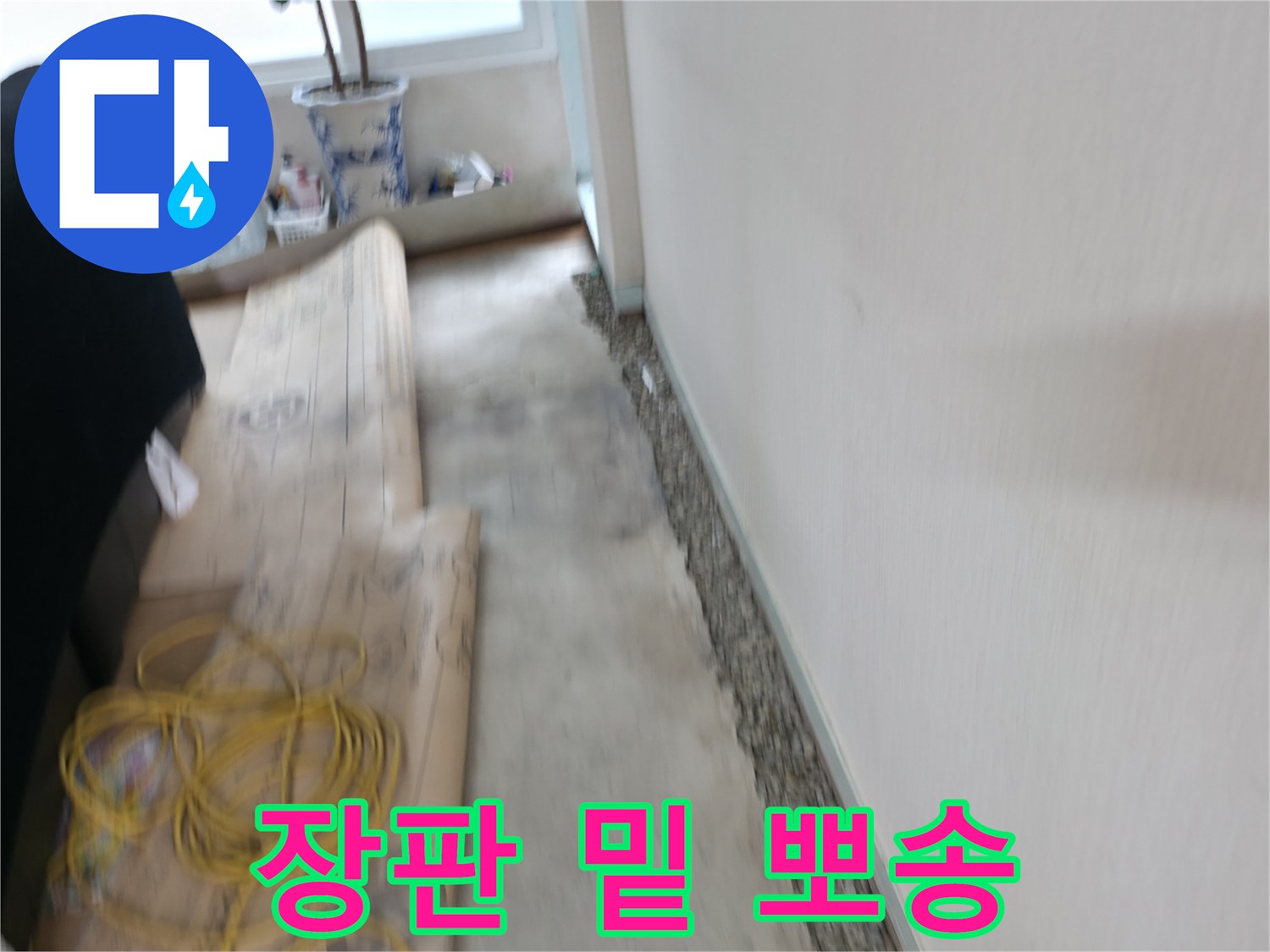 서초동 명달로4길 장판 밑 습기 제거 - 누수 잡고 뽀송하게!