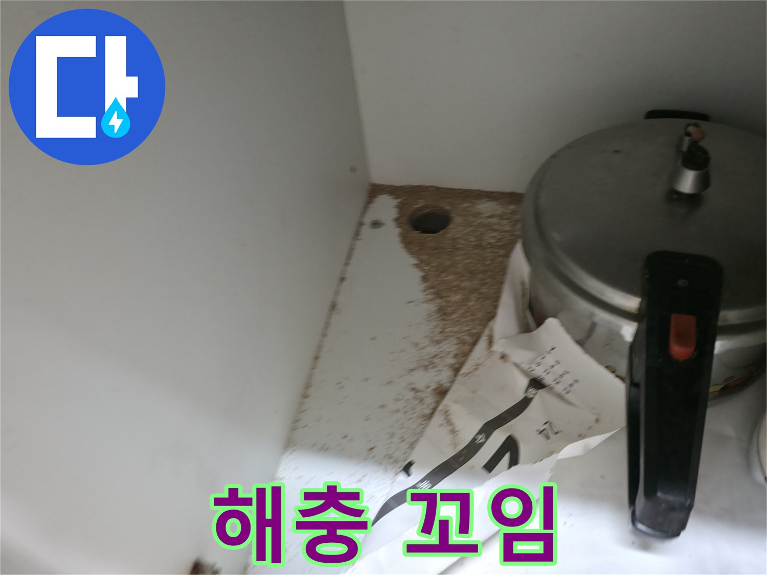 싱크대 밑 - 톱밥 - 악취 발생 - 해충 꼬임