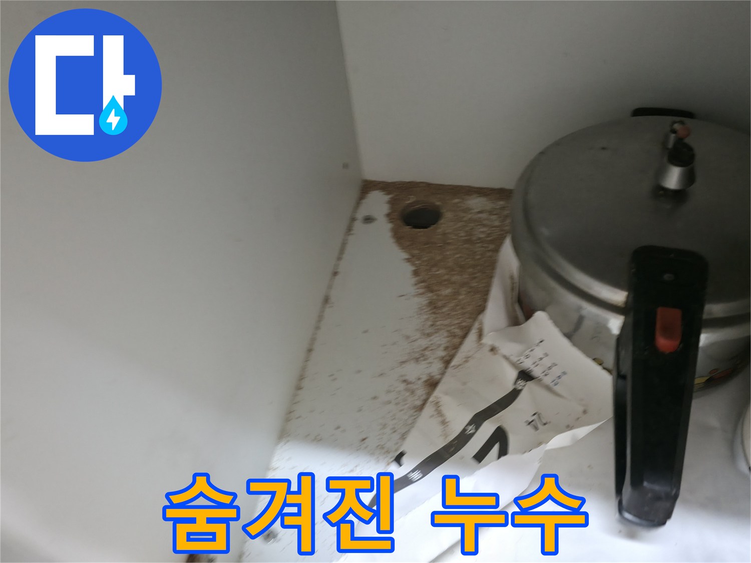 싱크대 하부 - 톱밥 - 숨겨진 누수 - 첨단 장비 탐지