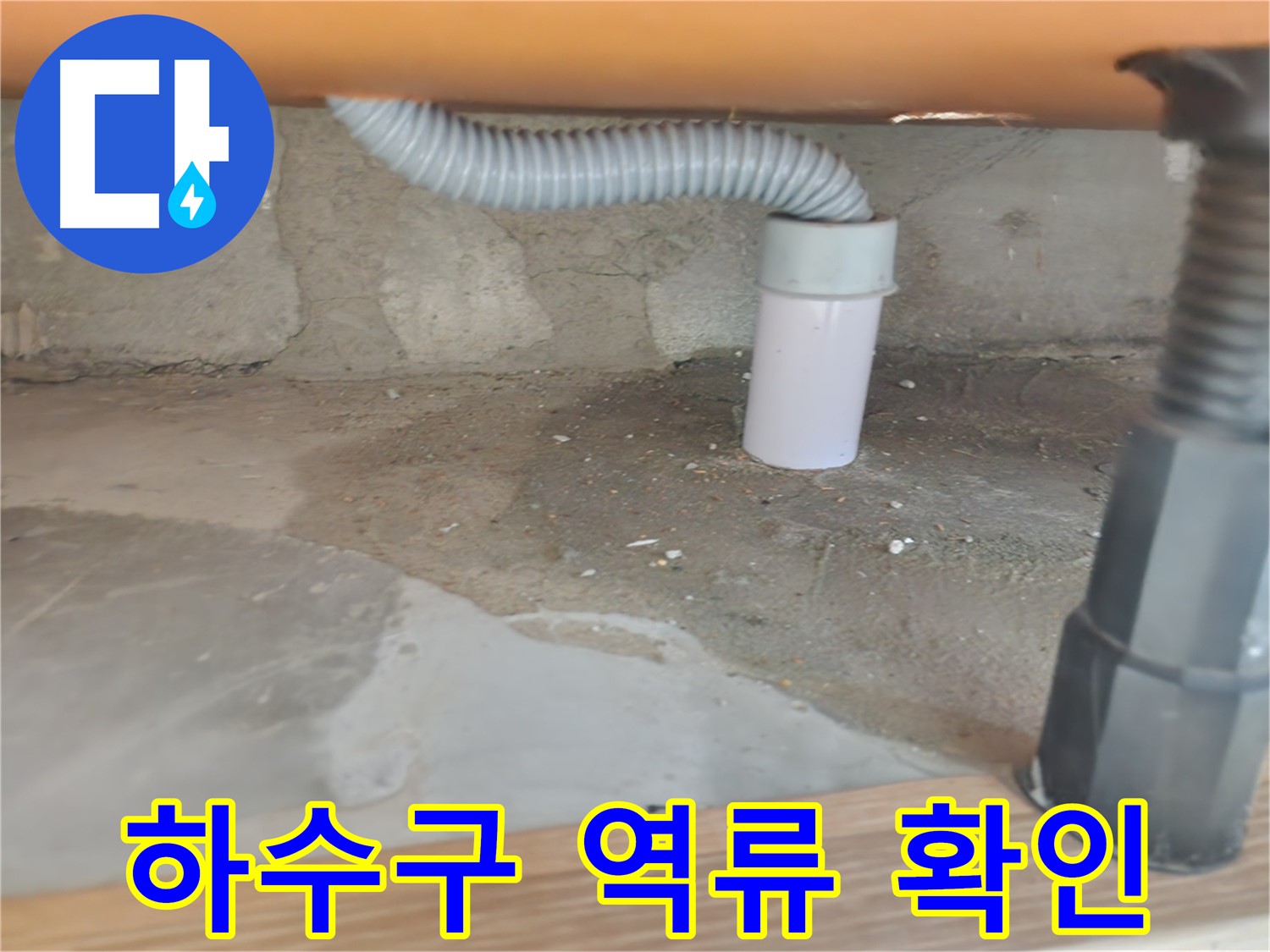 노원구 공릉동 아파트 - 세탁실 하수구 역류 부위 상세 확인