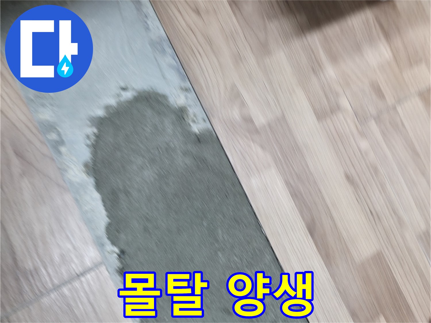 신촌로7안길 누수 - 몰탈 양생으로 튼튼한 바닥 완성!