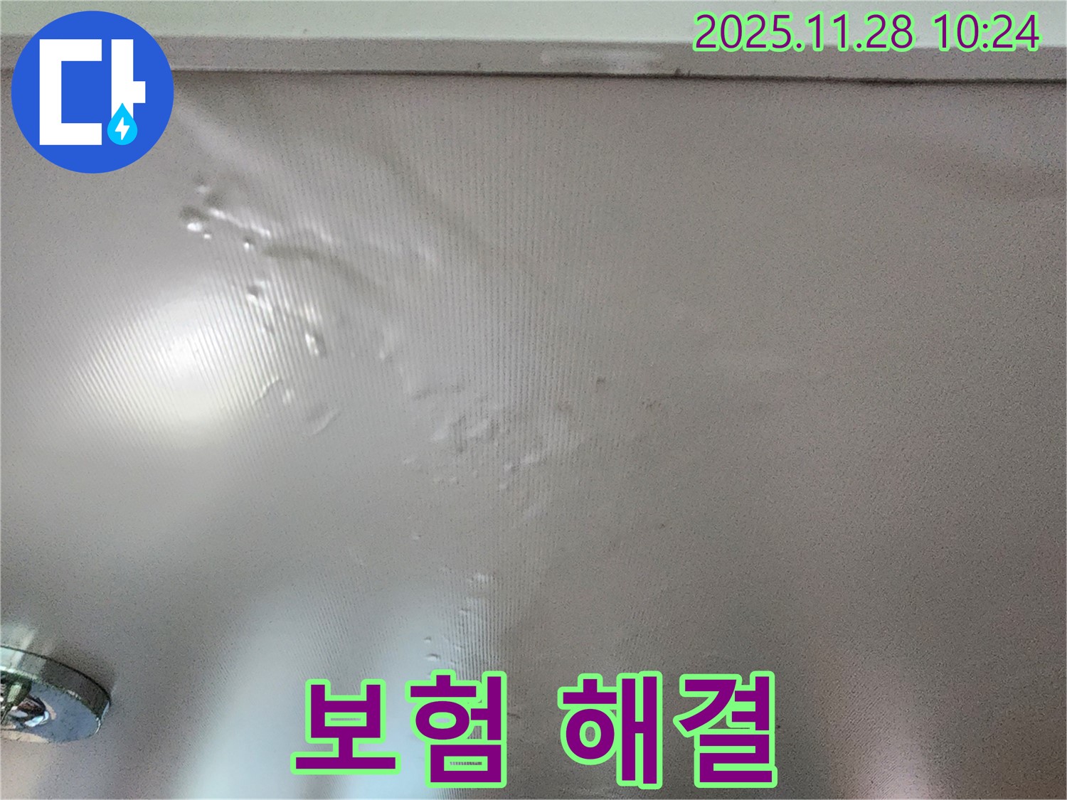 벽에 곰팡이가 핀 경우 누수 보험으로 해결할 수 있습니다.
