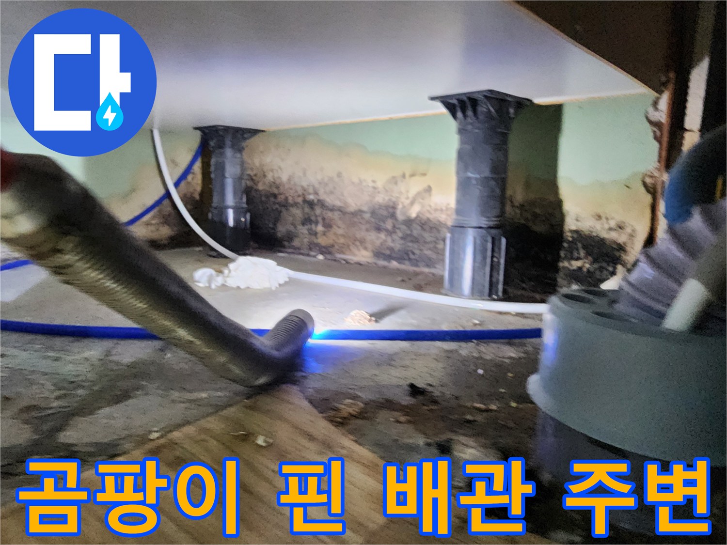 습기로 인해 곰팡이가 발생한 배관 지지대 부근의 모습