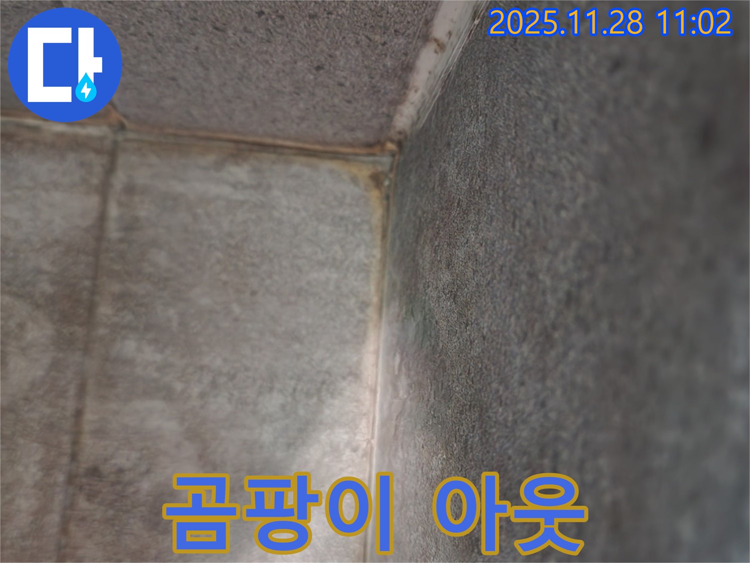 신북면 금동리 욕실 누수 - 곰팡이 아웃, 쾌적한 욕실 변신
