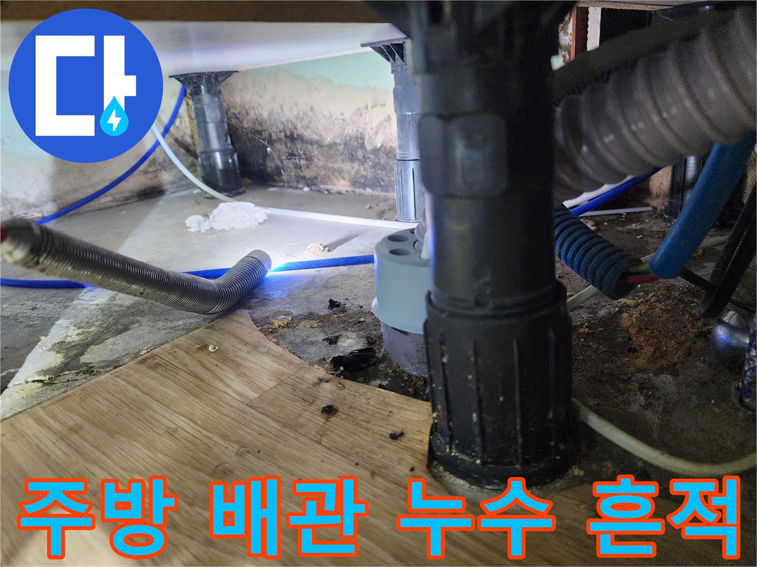 주방 싱크대 하부-배관 주변의 습기와 오염 확인