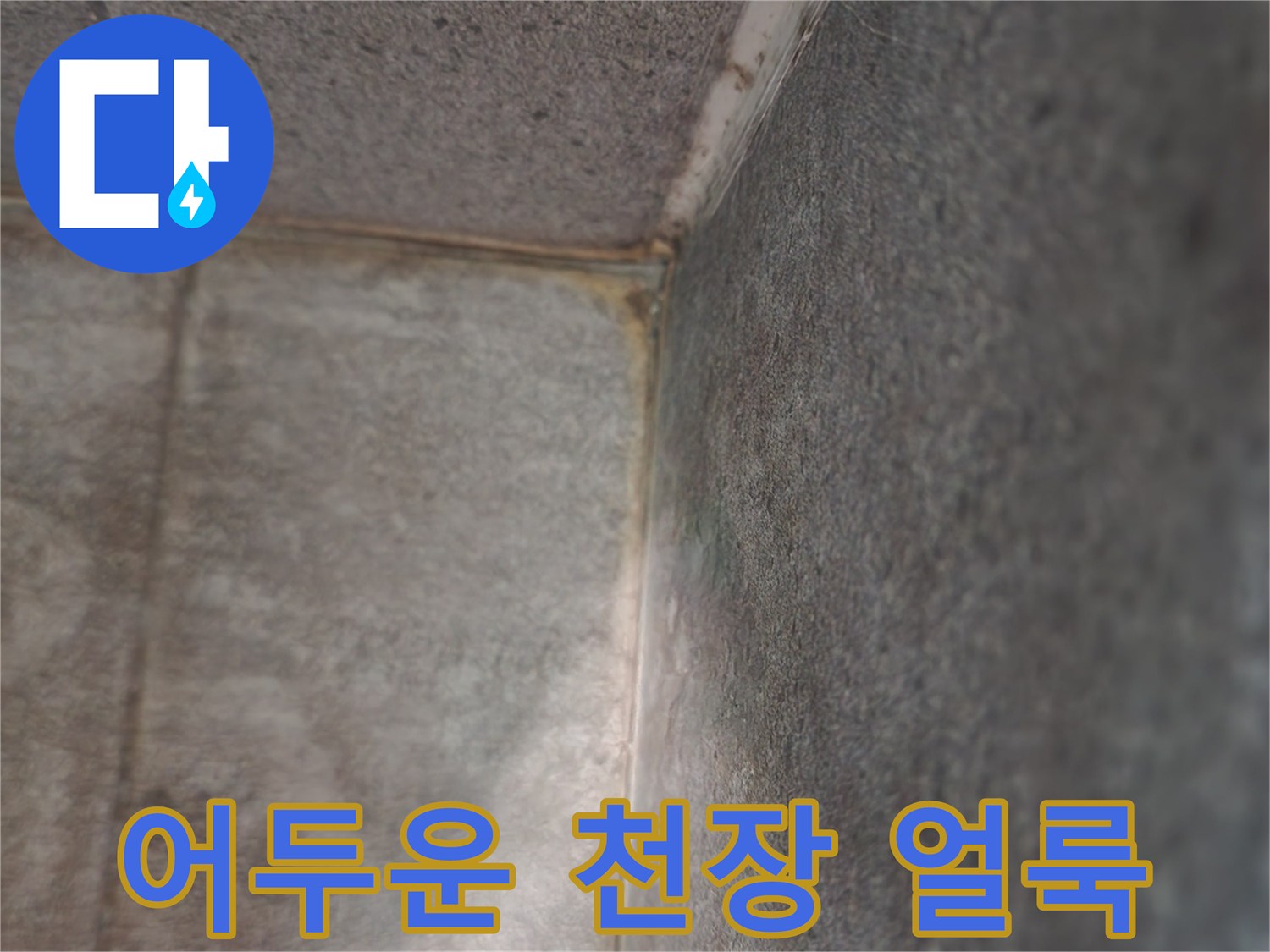 천장-구석-부분의-어둡게-변한-얼룩
