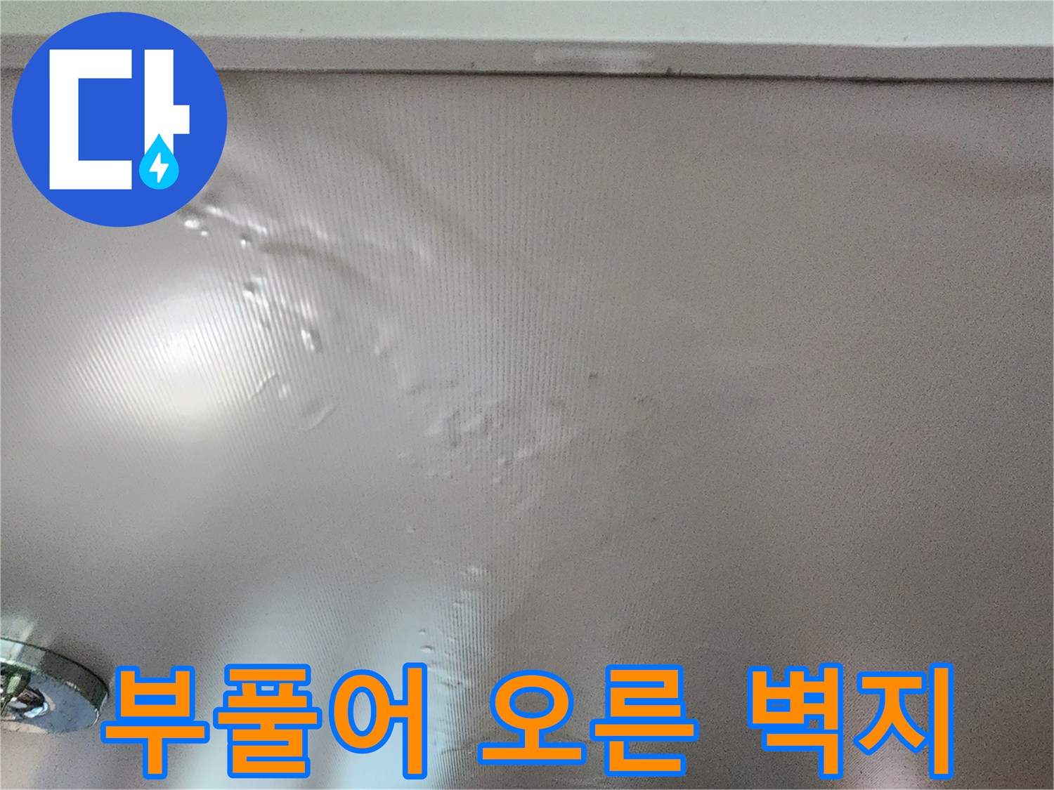천장 마감재가 물로 인해 팽창하여 일그러진 모습입니다.
