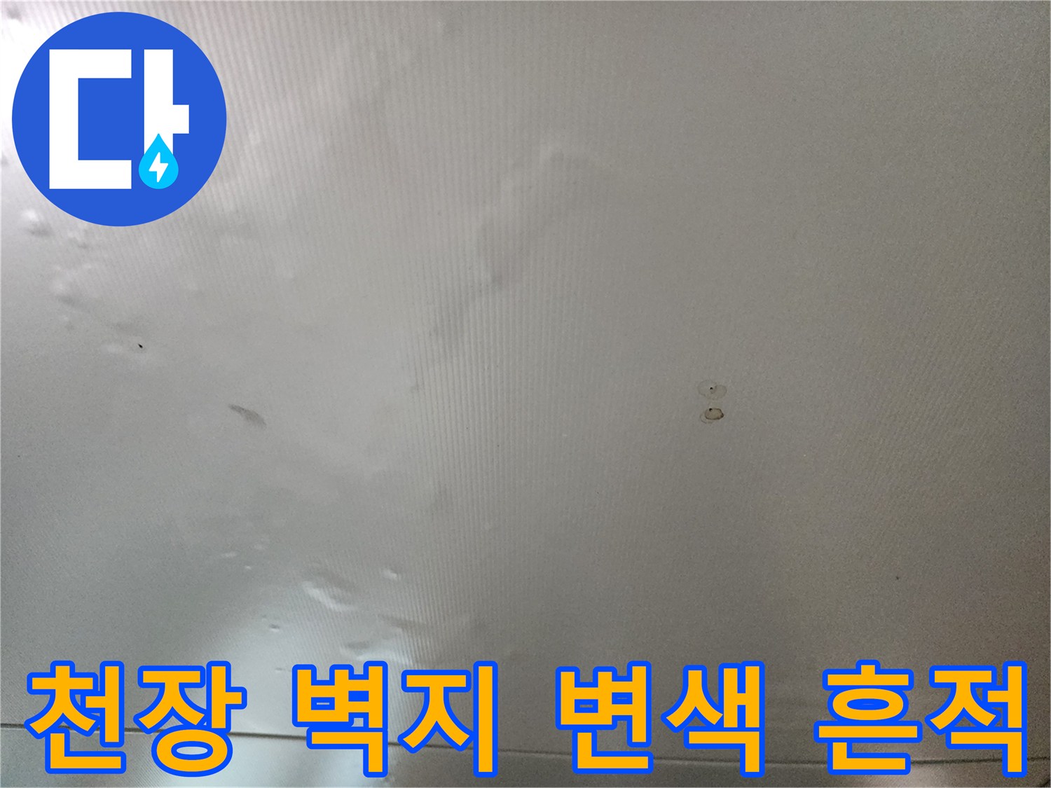 포천 신북면 현장의-천장 벽지 변색 및 들뜸 상태