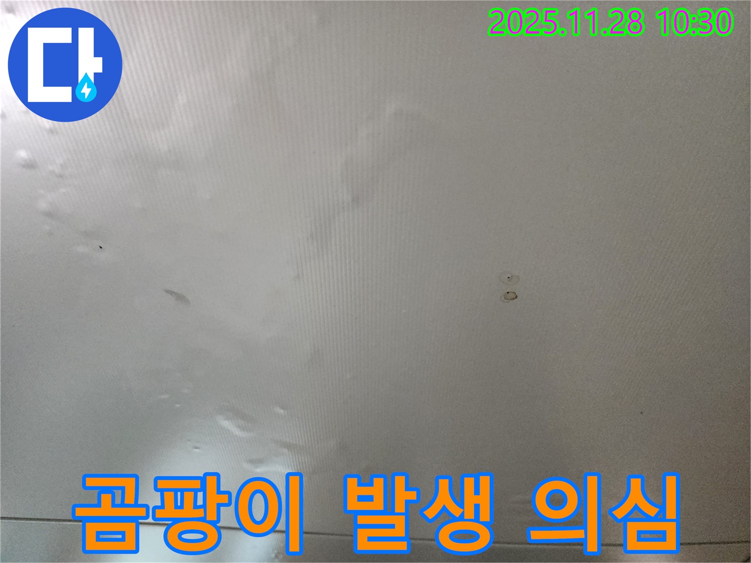 포천시 신북면 금동리 누수 - 곰팡이 발생, 누수를 의심하고 점검받으세요!