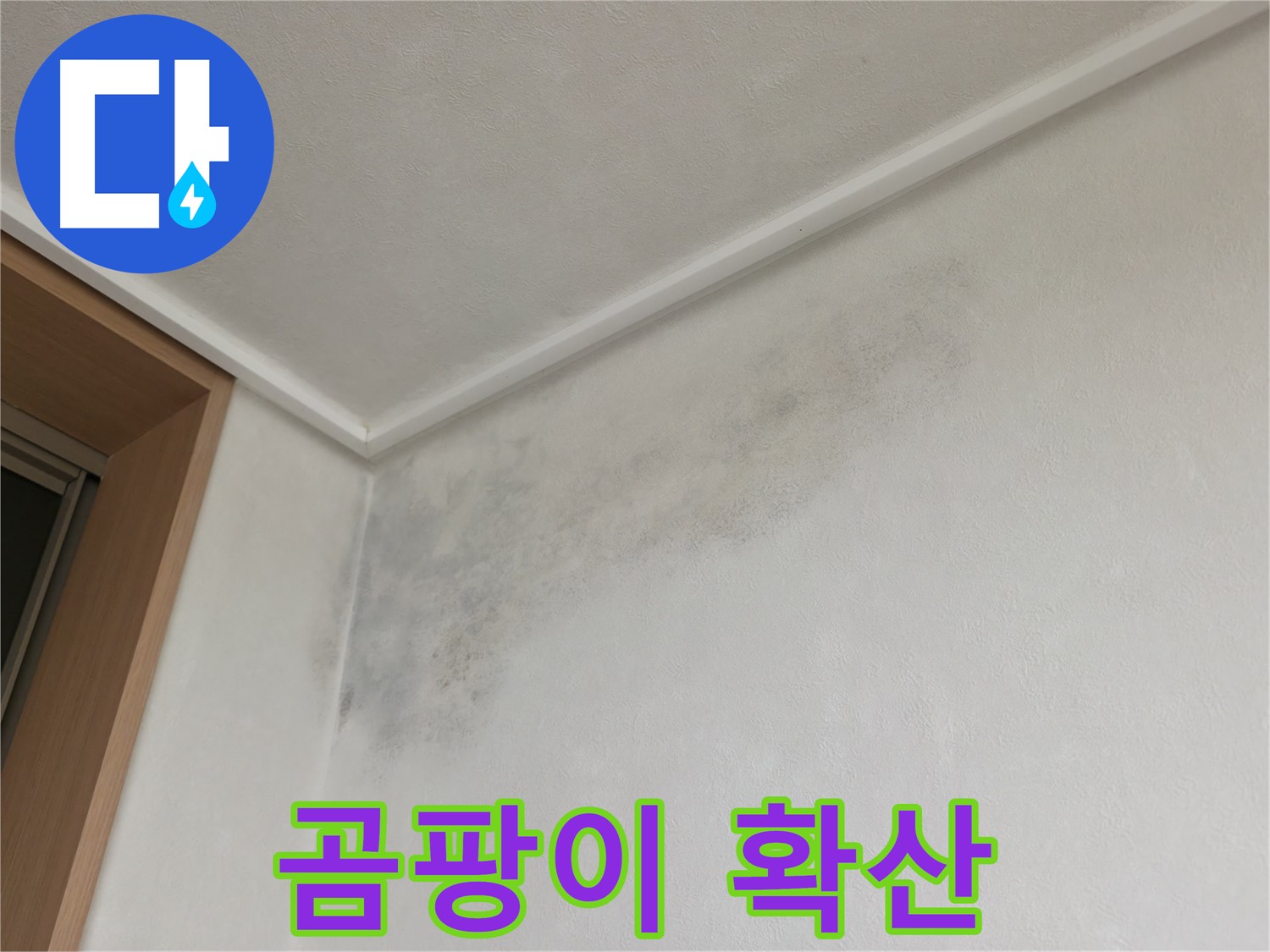 기흥역 더퍼스트푸르지오 아파트 누수 - 벽에 넓게 퍼진 곰팡이 사진