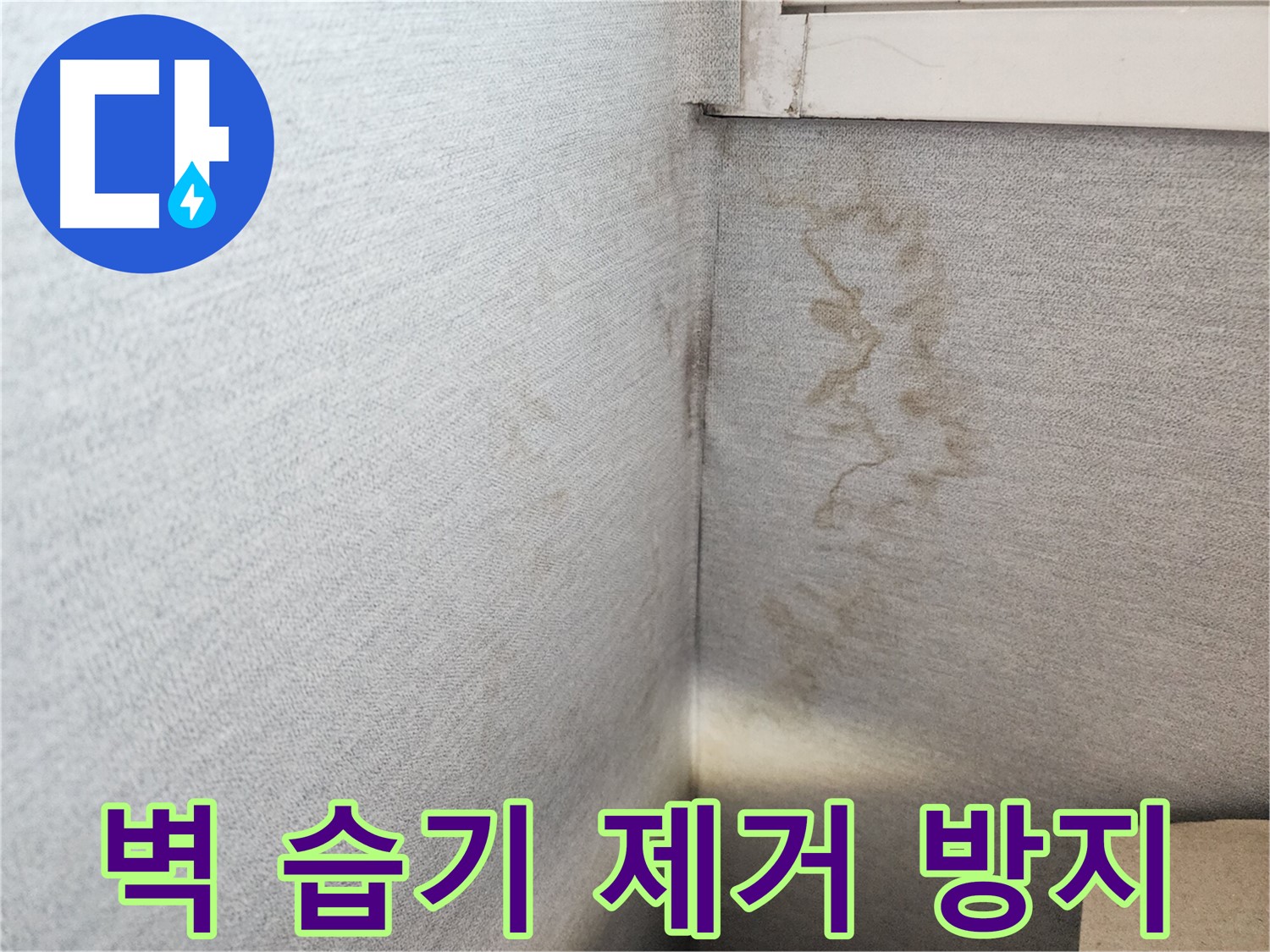 장안구 삼성아파트 누수, 벽면 습기 제거 및 방지 - 재발 방지를 위한 완벽한 솔루션을 제공합니다.
